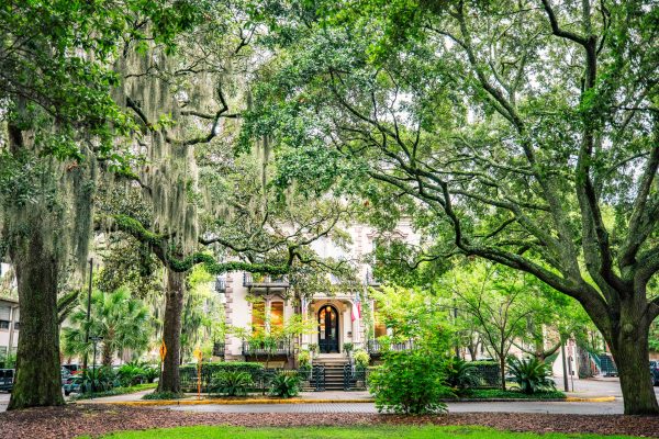 USA Georgia Savannah unsplash