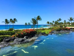 USA Hawaii Kauai unsplash